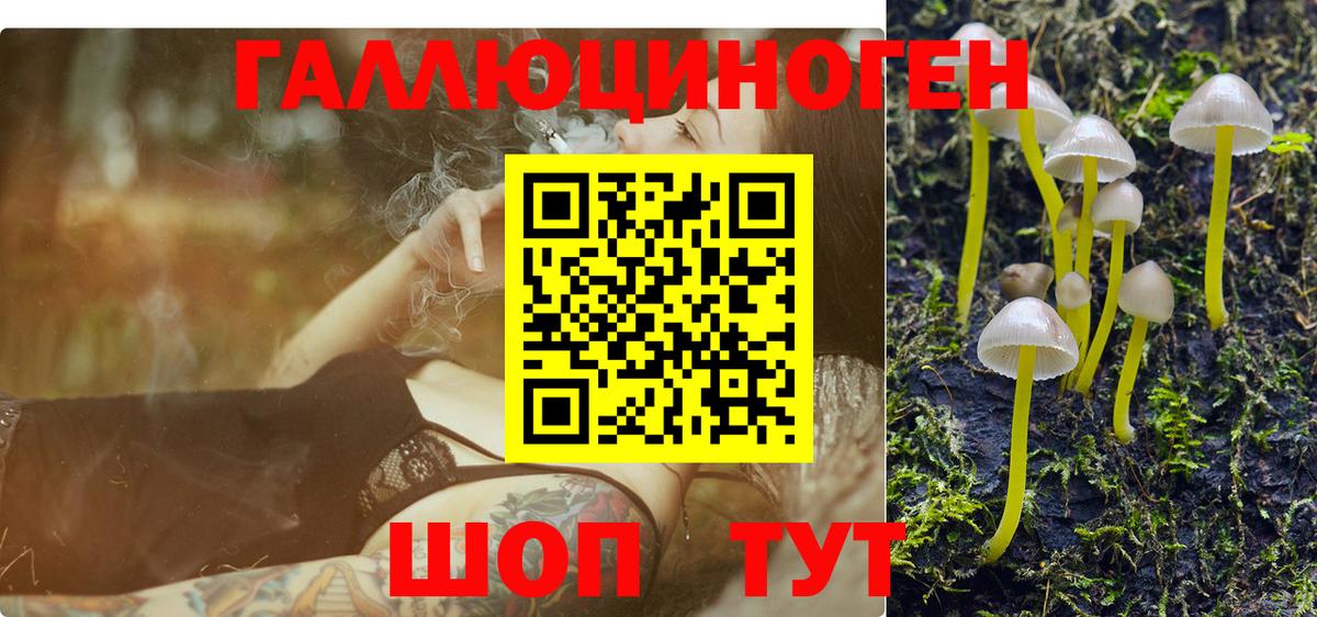Городец  даркнет сайт  Псилоцибиновые грибы MAGIC MUSHROOMS  Вход с VPN  Псилоцибиновые грибы Psilocybe 