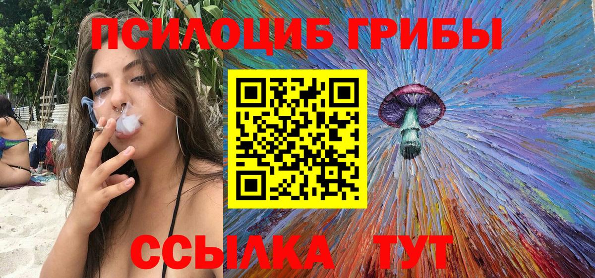 Галлюциногенные грибы Cubensis Городец